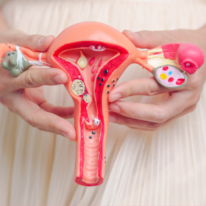 Pelvic Floor Workshop